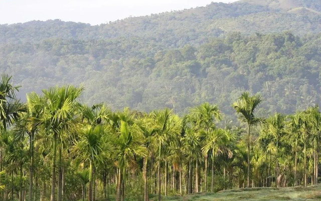 Kalindi River Resort