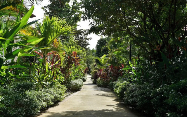 Rainforest Resort Phu Quoc