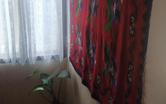 Apartmani Radivojevic