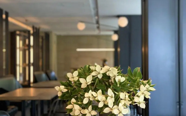 TASSEL HOTEL Sanjo Shirakawa