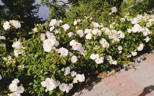 Hotel Hilton View Shimla