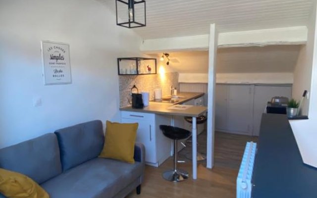 Les Cosy De Nancy - Le nid douillet - 4*