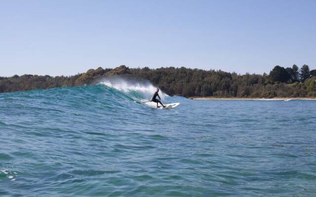 The Seabird