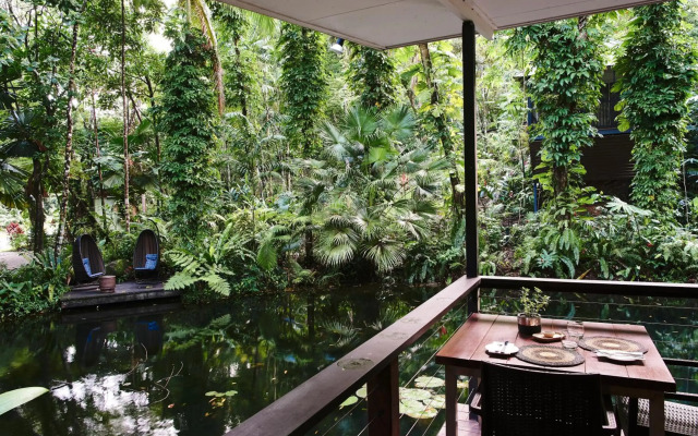 Daintree Ecolodge