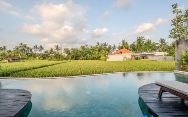 Villa Tenang – Modern 4BR, Private Pool, Ubud – Pool – Ubud