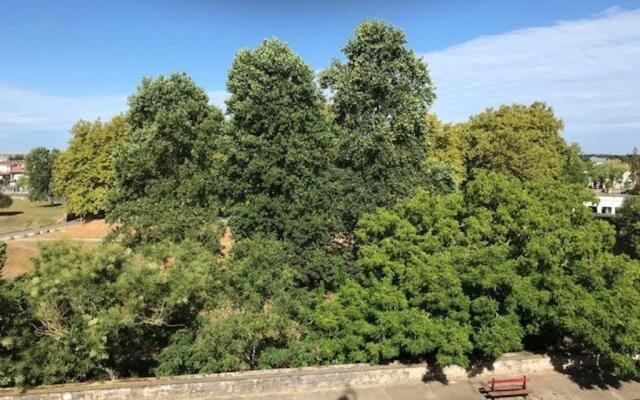 Appartement Bayonne, 3 pièces, 6 personnes - FR-1-239-709