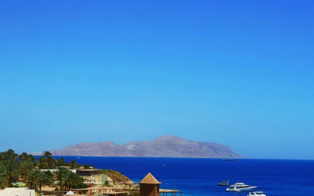 Sharks Bay Oasis