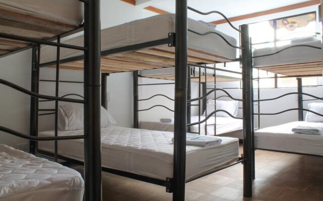 Hostel WashuWashu B&B