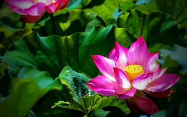 Sun And Moon International  Hotel (Zhenyuan Ancient Town Branch)