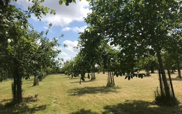 Vakantiehuizen 't Centrum