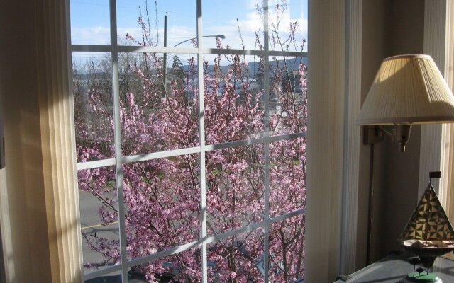 Crofton by the Sea Bed & Breakfast