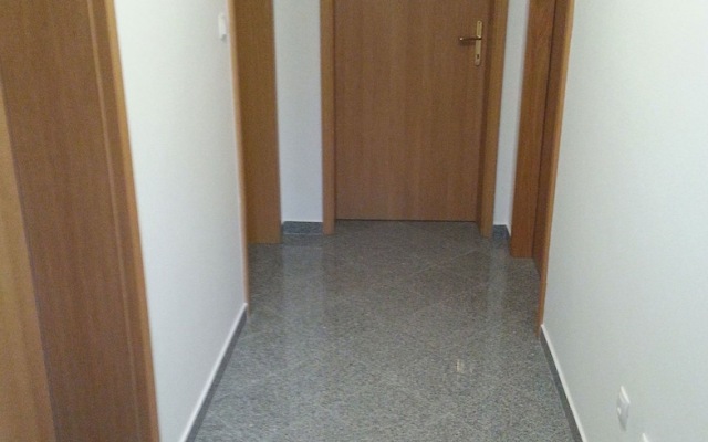 Apartment Branko