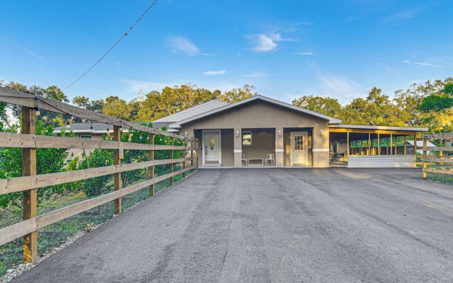 Tropical Tampa Home: Pets Welcome!