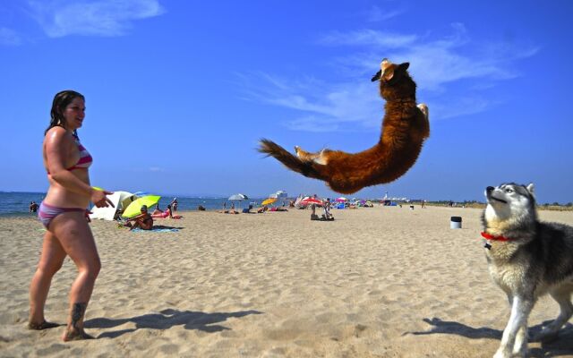 Pleasant Apartment in Empuriabrava With Balcony