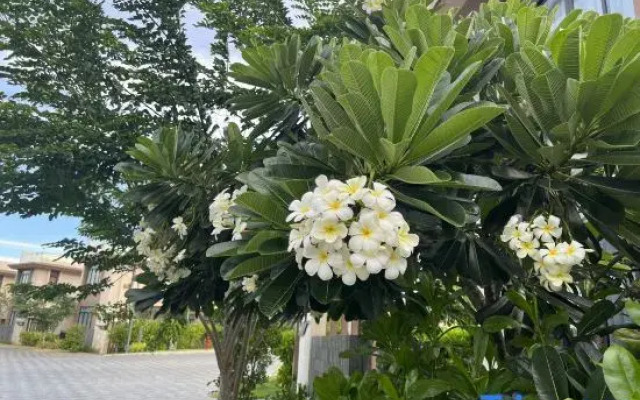 Wyndham Cam Ranh Villas