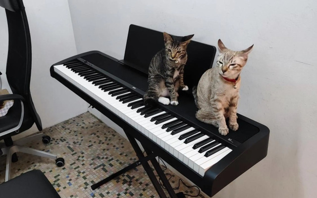 Cube House KL Bukit Bintang - Shared Bathroom Apartment