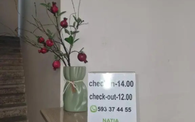 Hotel in Kobuleti 384
