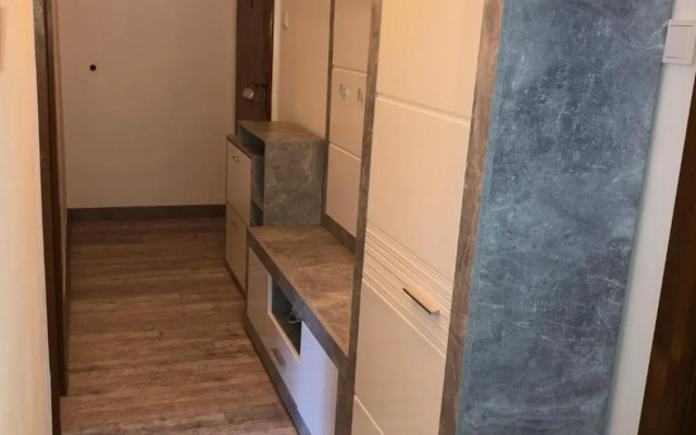 Ski and Lake View Apartment