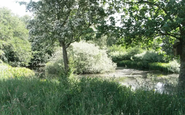 4 Person Holiday Home in Laeso