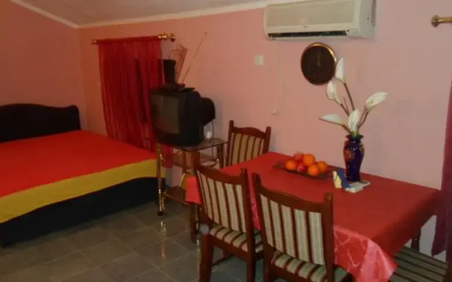 Savić Apartments