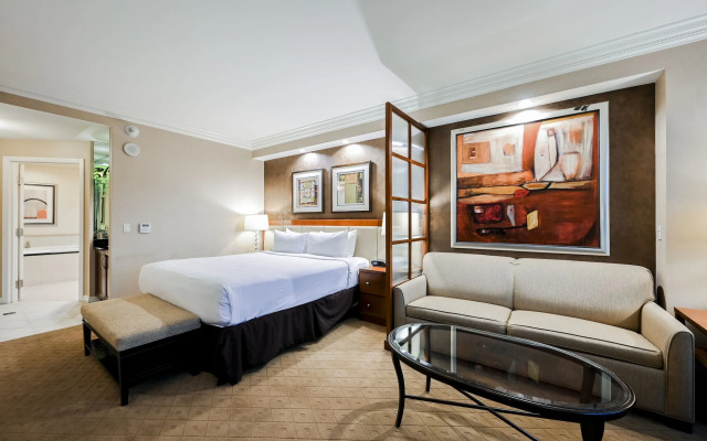 StripViewSuites at Signature