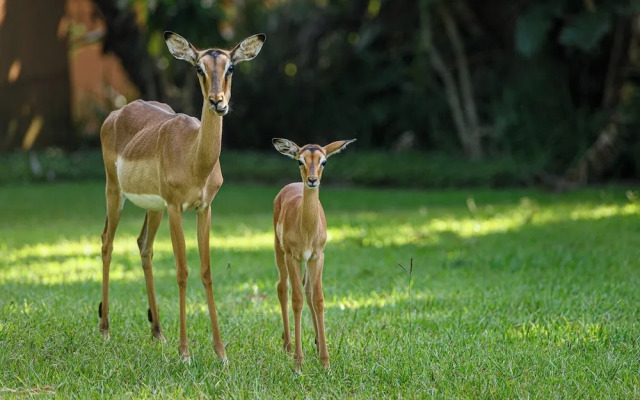 San Lameer Villa 12407