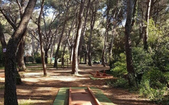 Appartement Six-Fours-les-Plages, 2 pièces, 2 personnes - FR-1-316-293