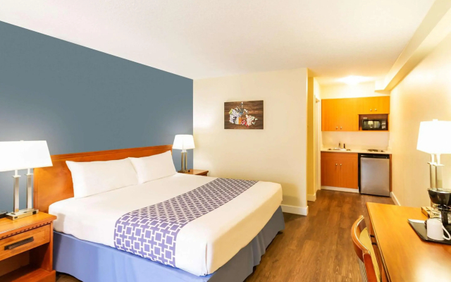 Econo Lodge Inn & Suites University