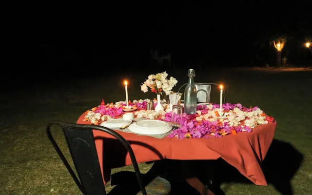 Mahua Tola Tadoba