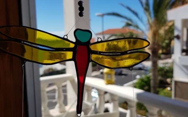 The Magic Dragonfly!