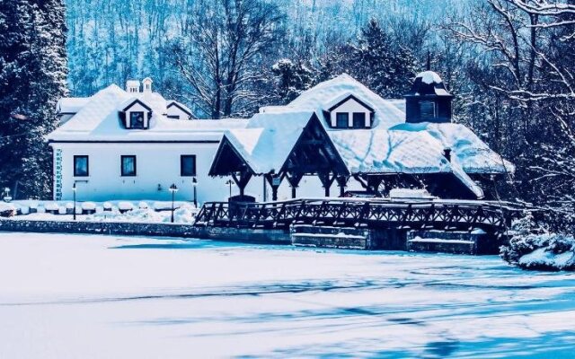 Hotel Bor