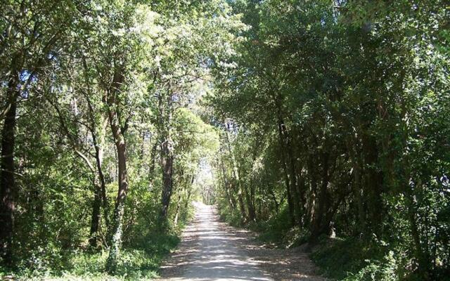 Maison La Barre-de-Monts, 2 pièces, 4 personnes - FR-1-473-9