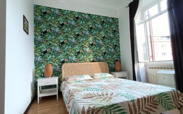 Colosseo Kokedama rooms