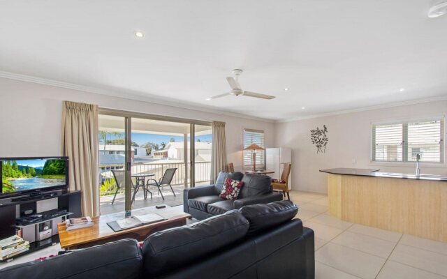 Noosa River Palms