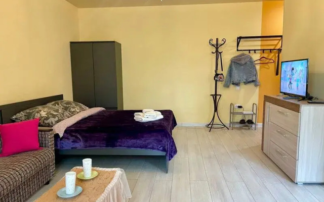 Апартаменты Рантье на ул. Карла Маркса