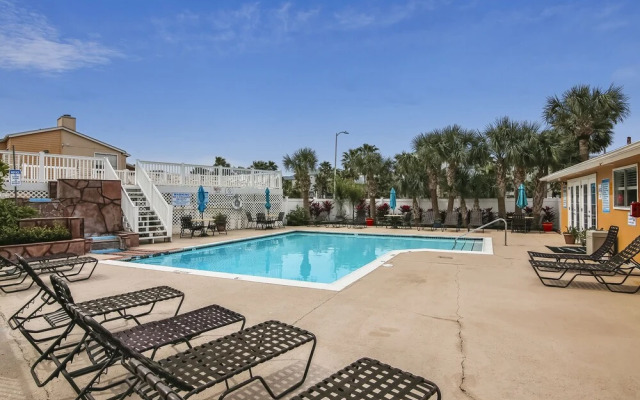 Palms at Cove View 1011-birder's Delight