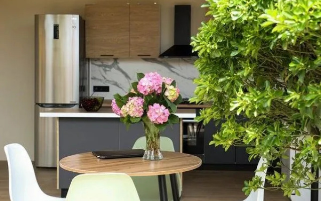 Шолохов (Цандрипш)