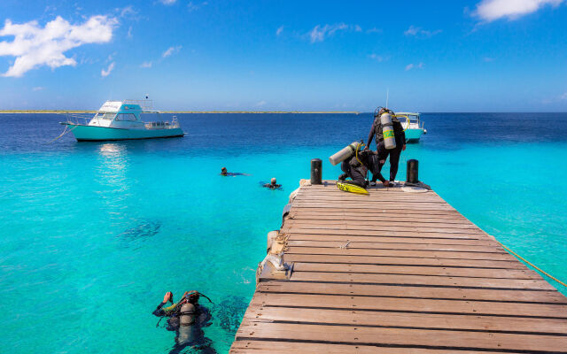 Buddy Dive Resort