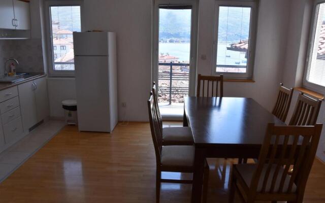 Apartment Damjan