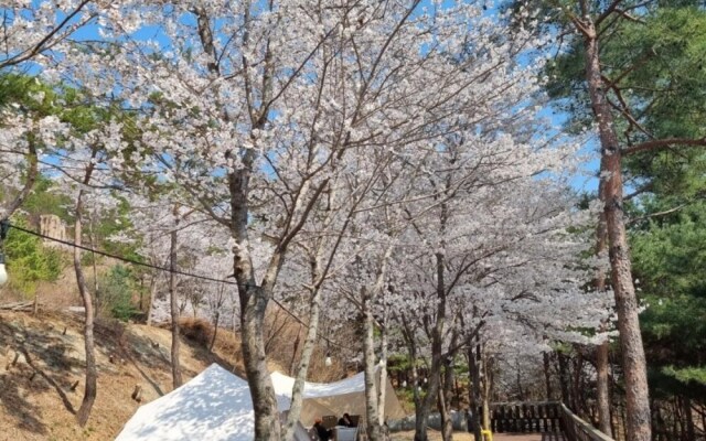 Miryang Myway Resort