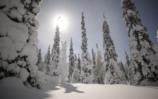 Lapland Hotels Snow Village