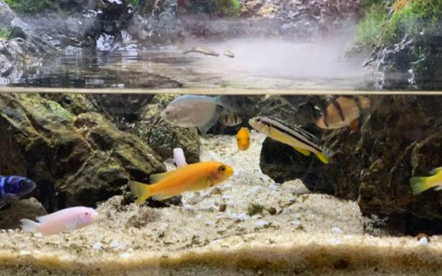 Jingqi Hotel (Shenzhen Binhe Times Xiasha Subway Station Branch)