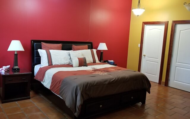 The Terrace View Bed and Breakfast