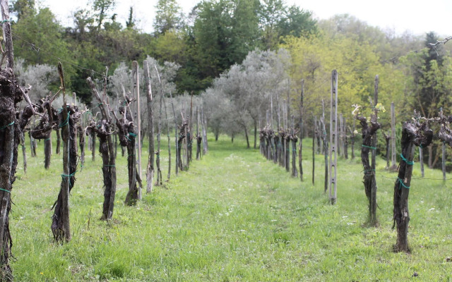 Molino le Gualchiere