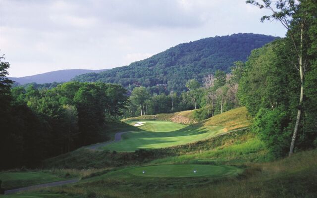 Allegheny Springs