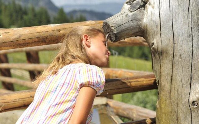 Bio Bauernhof Vorderoberlehen
