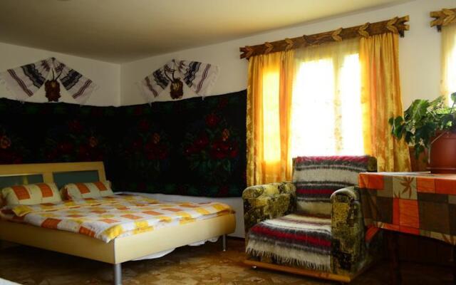 Pensiunea Agroturistica Casa Coliniţa