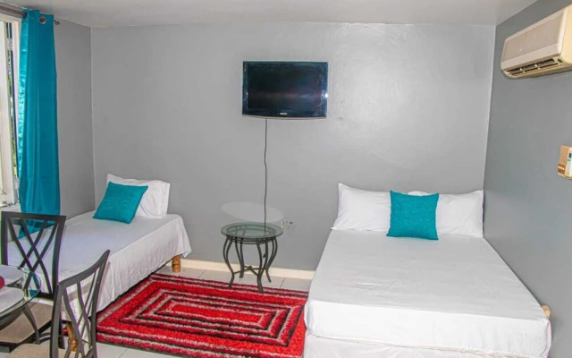 Malibu ocean View Studio