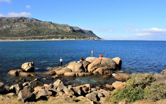 South Shore Beach Apartments, Harrier 202