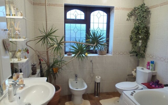 The Cedars House B&B